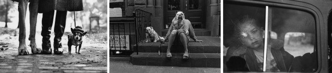 ELLIOT ERWITT